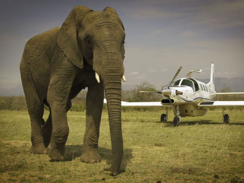 P-750XL in Africa